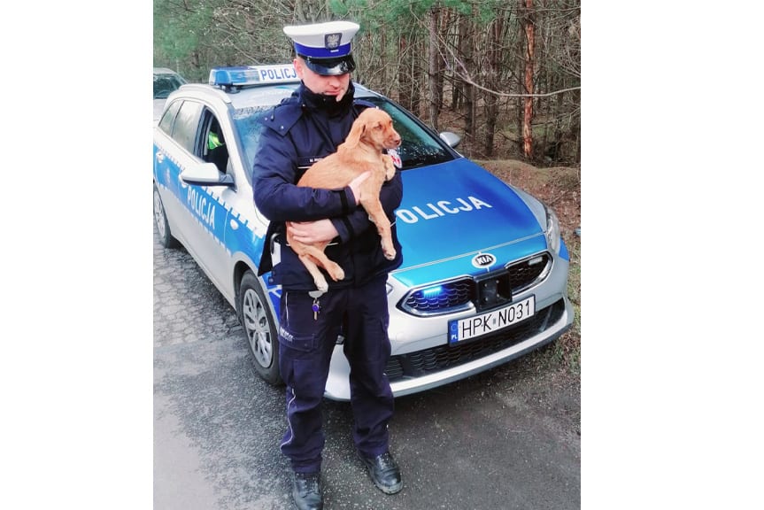 policja pomaga psu