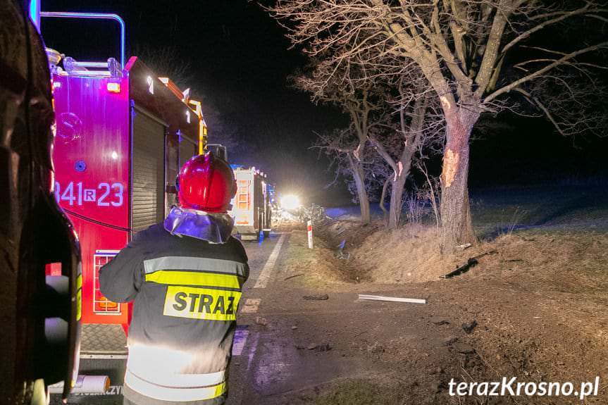 Poważny wypadek samochodu osobowego w Łysej Górze