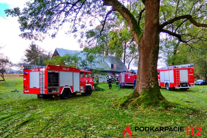 pożar domu we Wróbliku Królewskim