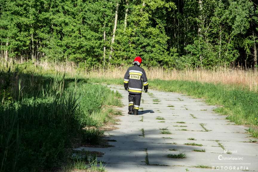 Pożar nieużytków nad Jeziorem Tarnobrzeskim