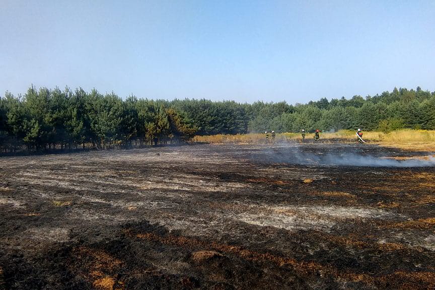 pożar lasy Wysoka Głogowska