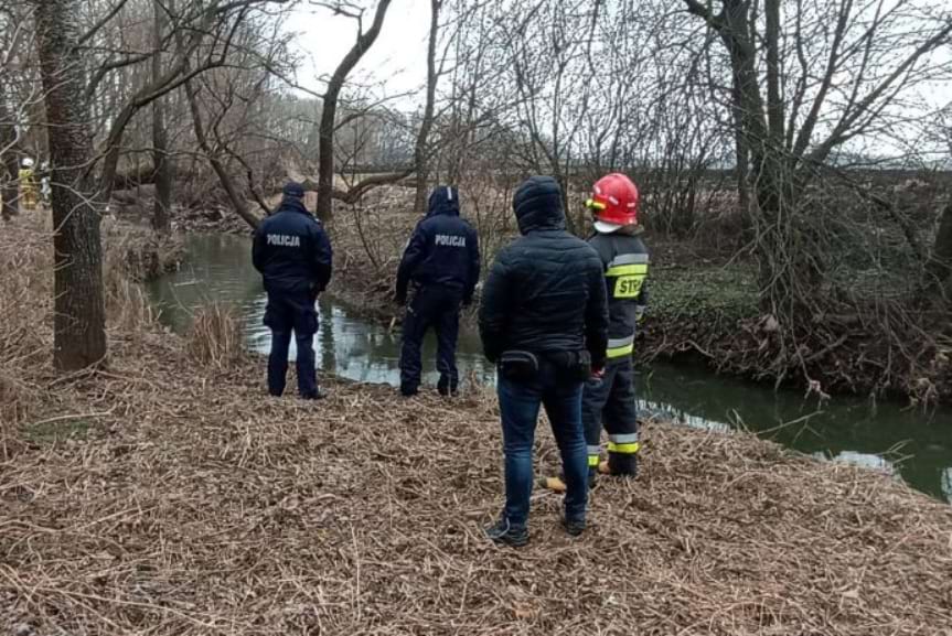 poszukiwania mieszkanki Łowiec