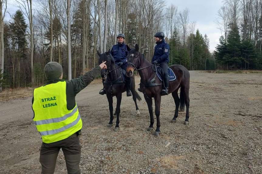 działania policji i straży