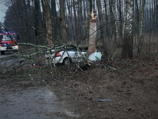 Wypadek w Żołyni. Oplem uderzył w drzewo