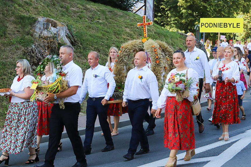 Dożynki Gminy Jedlicze 2025 [ZDJĘCIA]