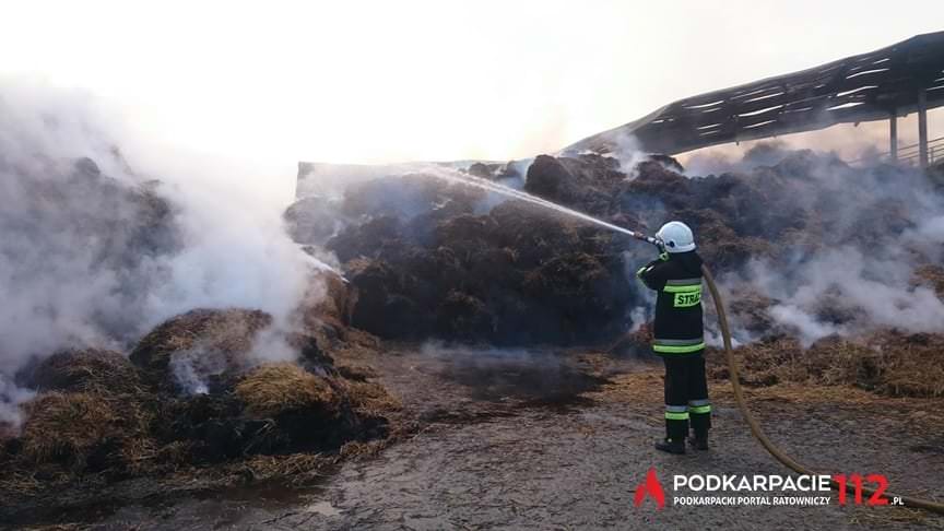 Pożar w cegielni