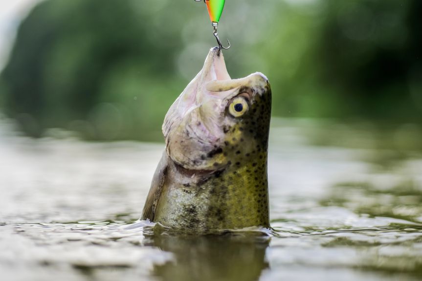 Łowił ryby bez zezwolenia