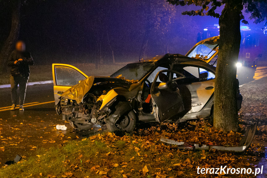 Na ul.Tysiąclecia w Krośnie samochód uderzył w drzewa
