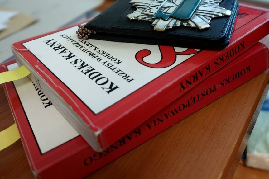 Oszukiwała na internetowych aukcjach - usłyszała zarzuty