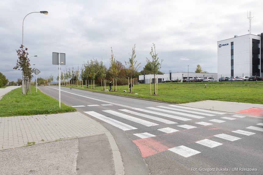 Park na os. Kotuli jest kolejną zieloną inwestycją