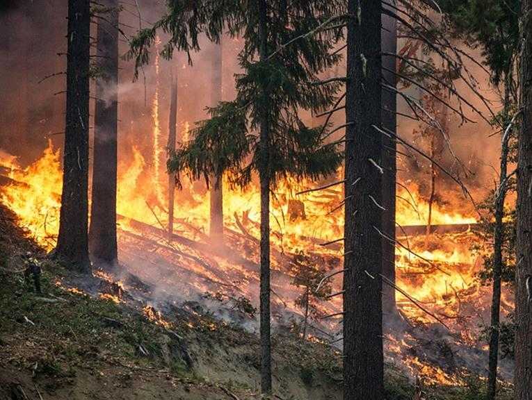 Pilne-trwa walka z pożarem lasu w Chotowej- w akcji bierze udział samolot gaśniczy 