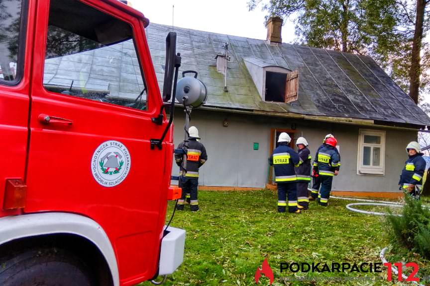 Pożar we Wróbliku Królewskim