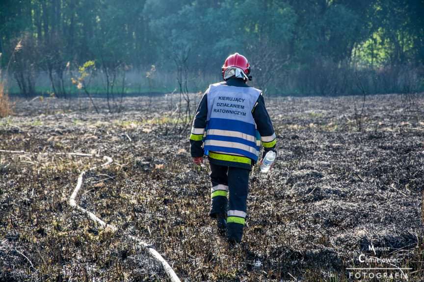 Pożar nieużytków nad Jeziorem 