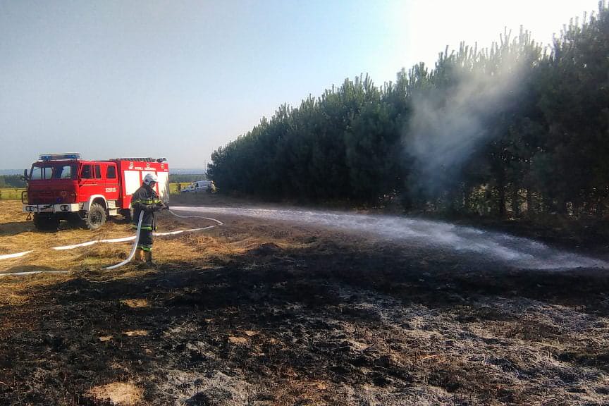 Pożar traw w pobliżu lasu