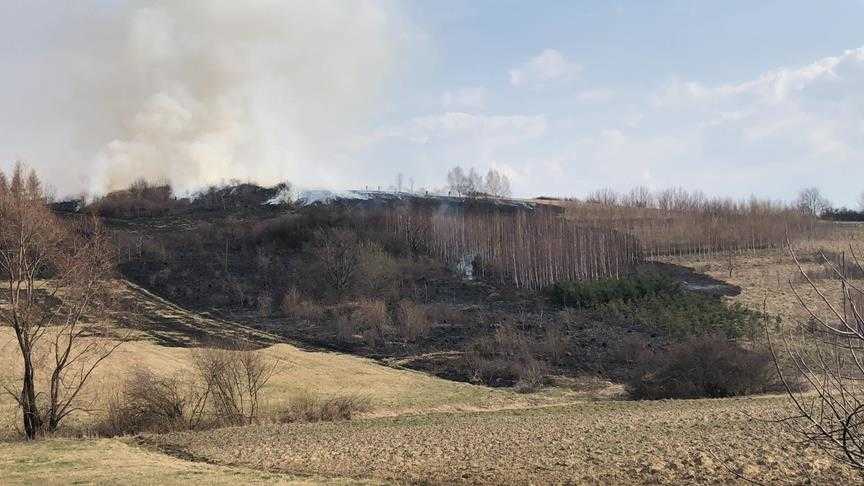 Pożar trawy z tragicznymi konsekwencjami