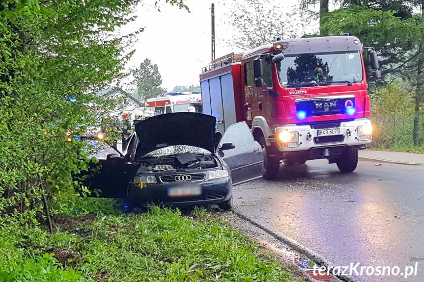 Rogi. Kierujący audi wjechał w drzewo