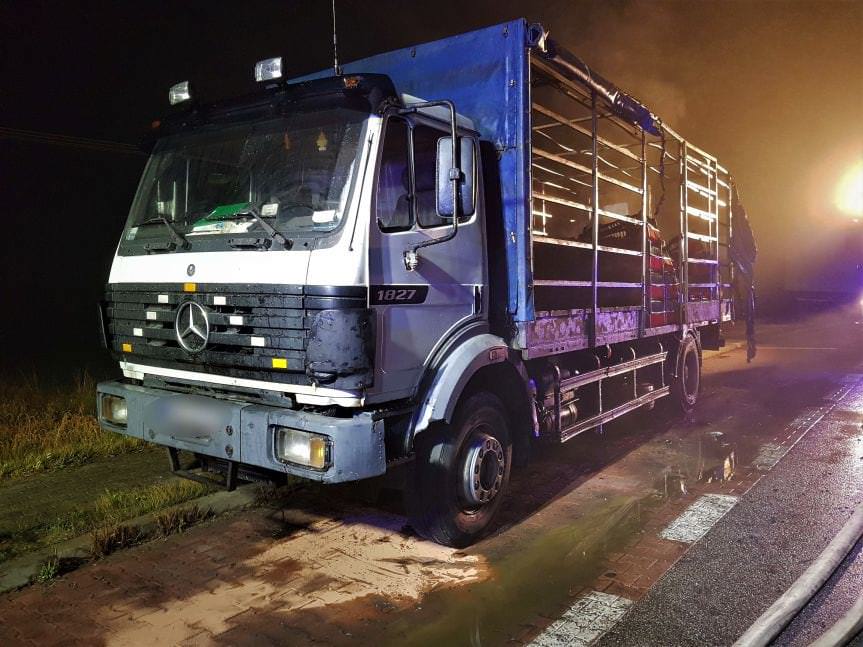 Trzcinica. Pożar ciężarówki z drobiem