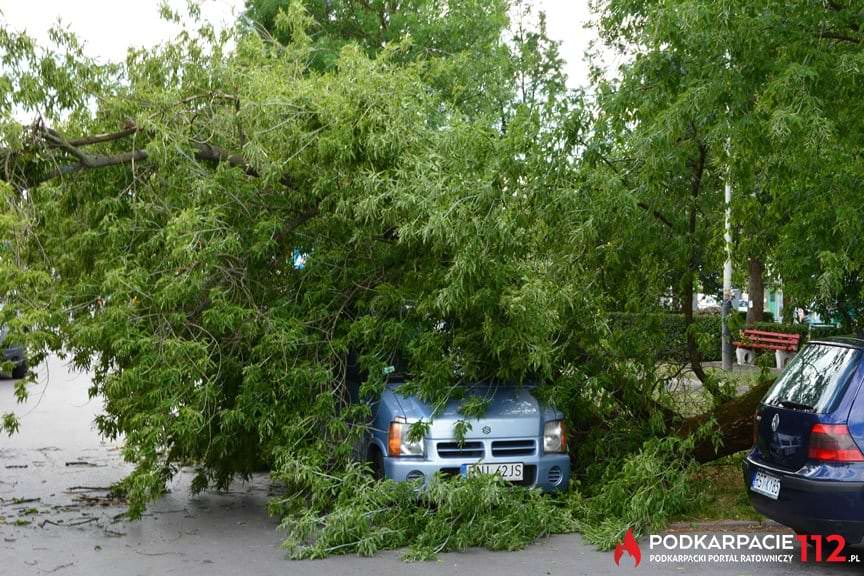 Drzewo spadło na samochód