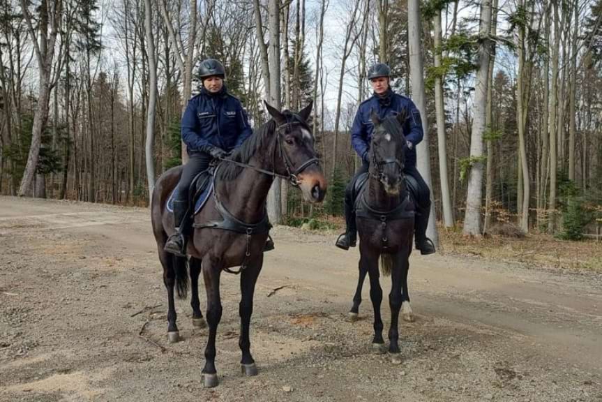 Wspólne patrole konne policji i straży leśnej 