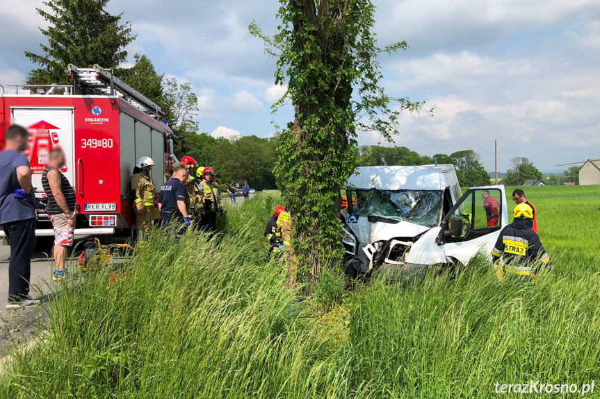 Bus uderzył w drzewo. Dwie osoby ranne