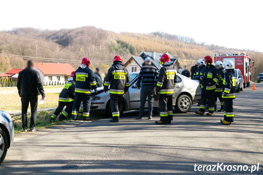 Czołowe zderzenie w Rogach