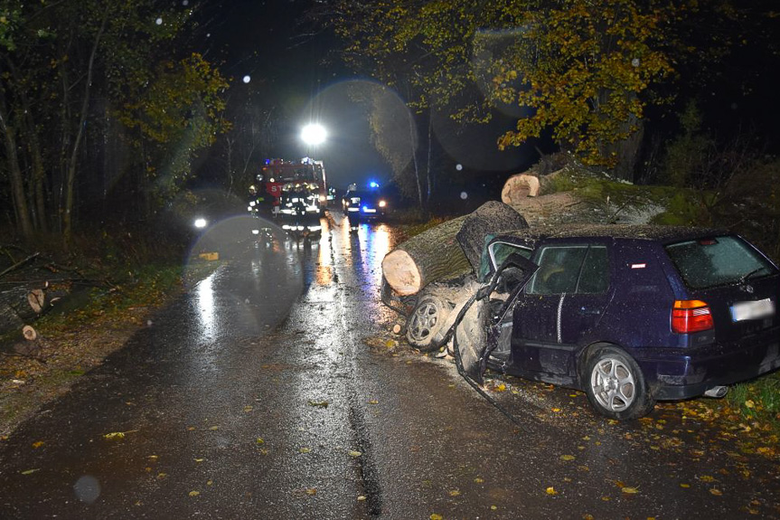 Drzewo powalone na samochód