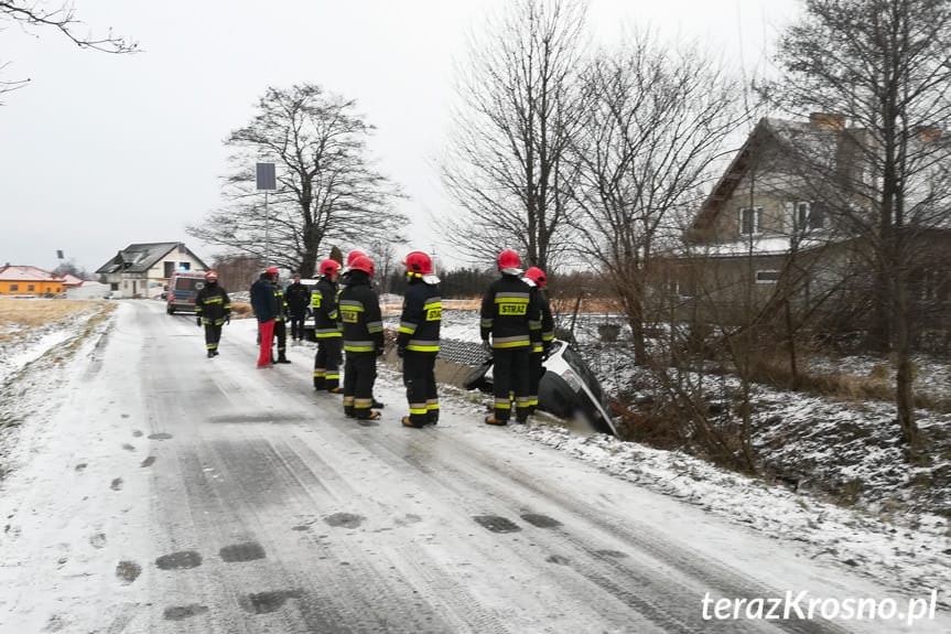 Iwonicz. Kierująca fiatem wjechała do rowu