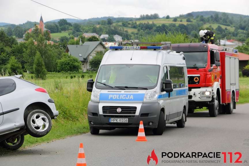 Kolizja w Rogach