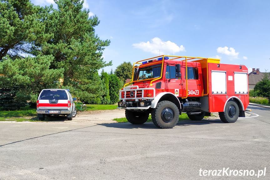 Kolizja w Świerzowej Polskiej