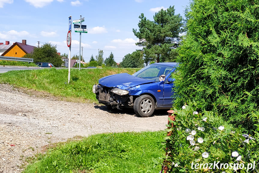 Kolizja w Świerzowej Polskiej