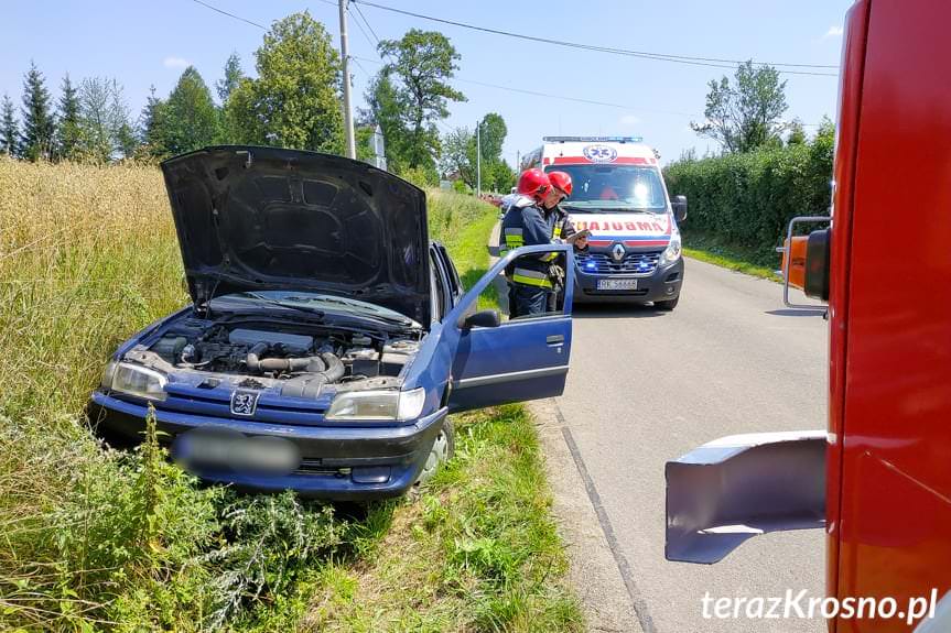 Kolizja w Żeglcach