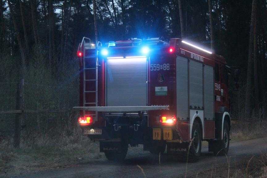 Olbrzymi pożar lasu spłoneło około 50 hektarów 