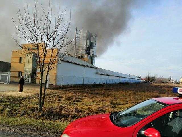 Poważny pożar hali magazynowych w Manasterz
