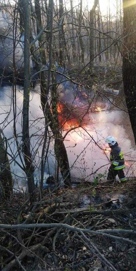 Pożar dzikiego wyspiaka śmieci 