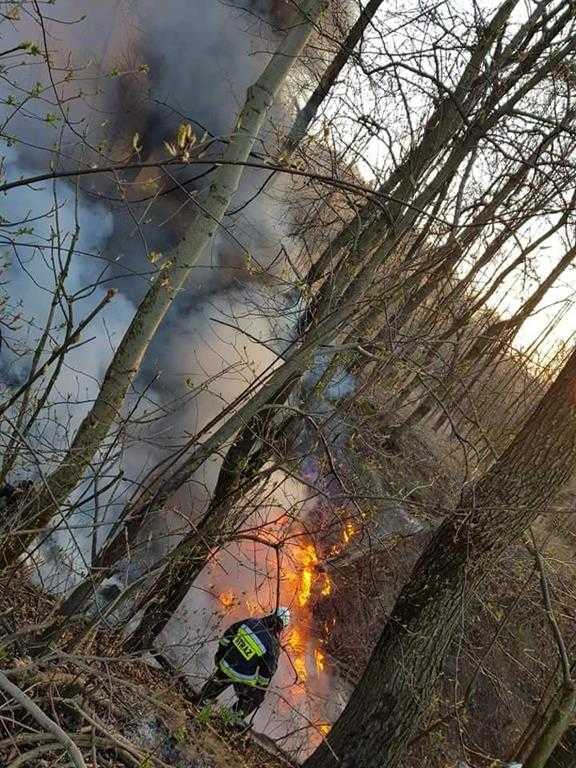 Pożar dzikiego wyspiaka śmieci 