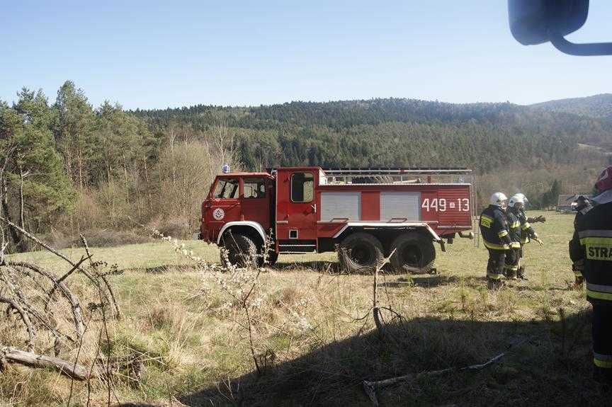 Pożar lasu w Parku narodowym 