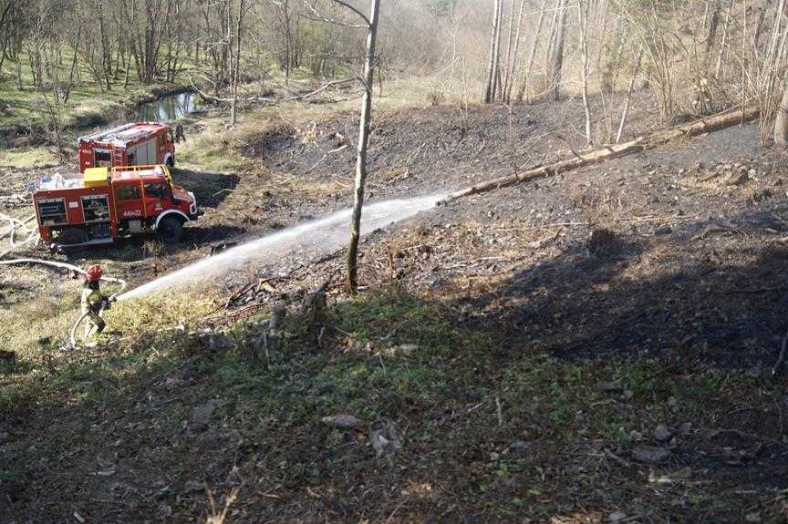 Pożar lasu w Parku narodowym 