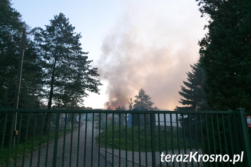 Pożar na terenie sortowni śmieci w Wolicy