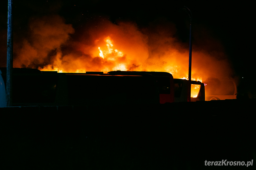 Pożar w Krośnie. Na zajezdni spłonęło kilka autokarów