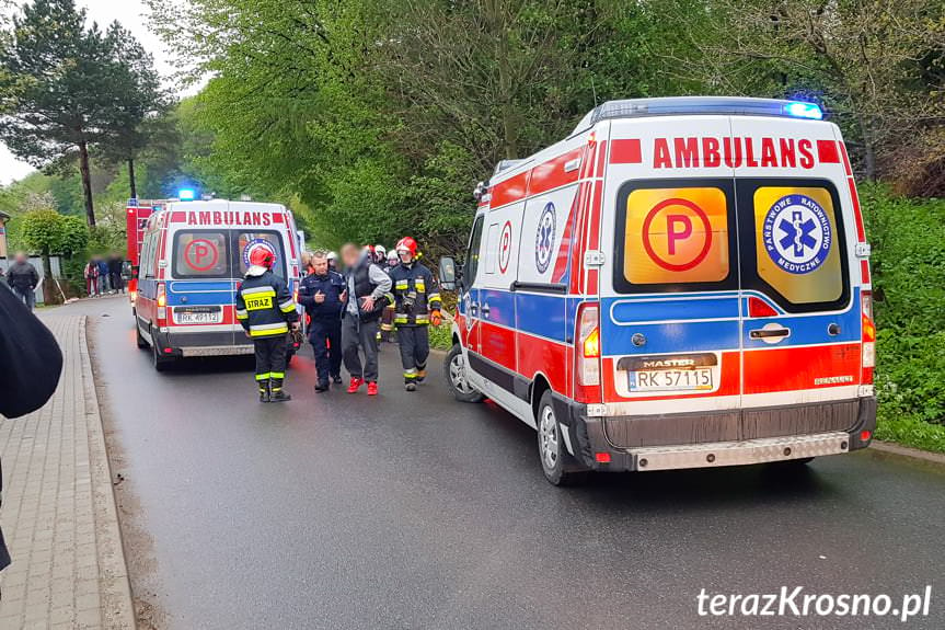 Rogi. Kierujący audi uderzył w drzewo