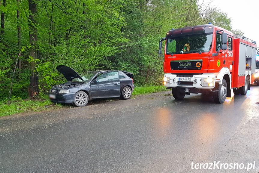 Rogi. Kierujący audi uderzył w drzewo