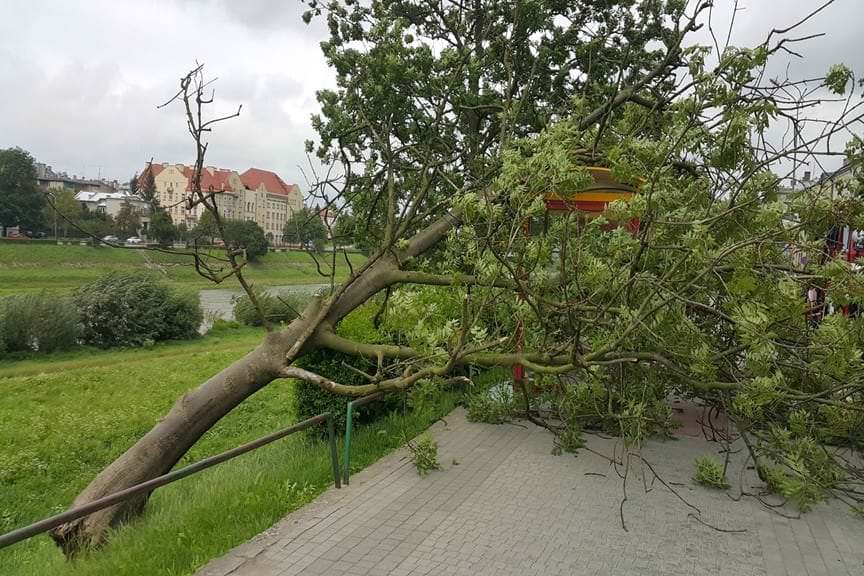 Silny wiatr w powiecie przemyskim