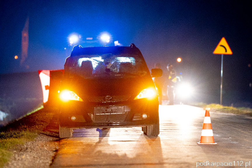 Śmiertelny wypadek w Trześniowie