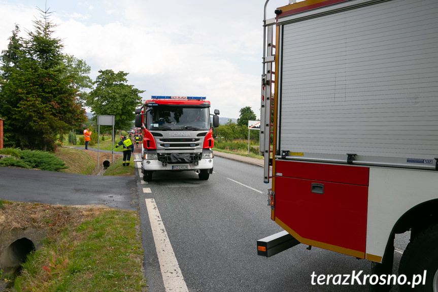 Teodorówka. Zderzenie samochodu ciężarowego i osobówki