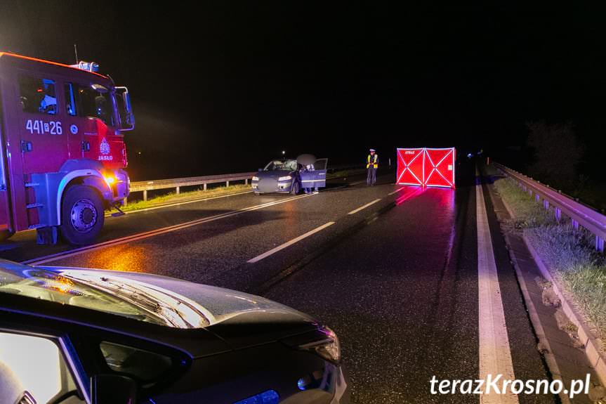 Warzyce. Śmiertelne potrącenie pieszego 