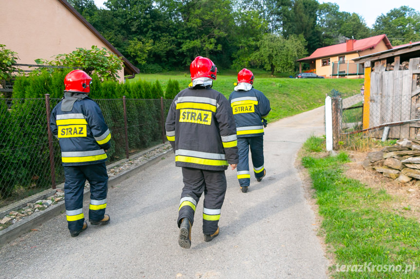 Wypadek w Iwli. Mężczyzna przygnieciony przez ciągnik