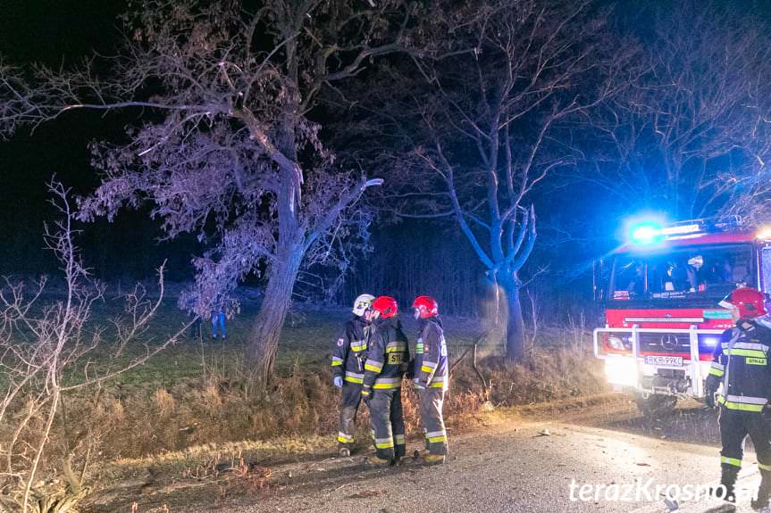 Wypadek w Łysej Górze