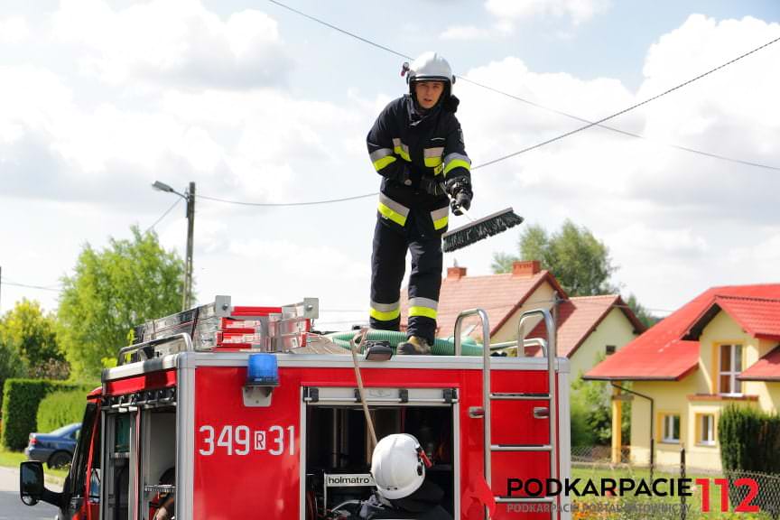 Zderzenie dwóch samochodów w Jedliczu