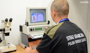 Afgańczyk z ukraińską fałszywką