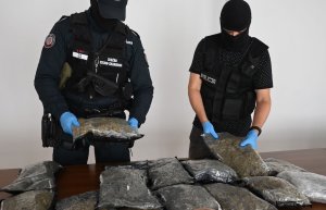Funkcjonariusze podkarpackiej KAS i Policji przechwycili ponad 11 kilogramów suszu marihuany